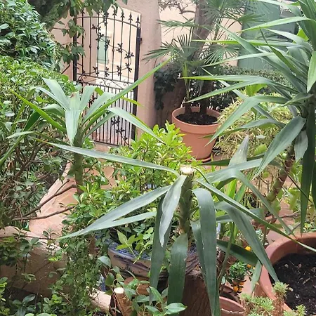 Willa Maison De Village Privative Calme Avec Jardin Terrasses Vieux Village *